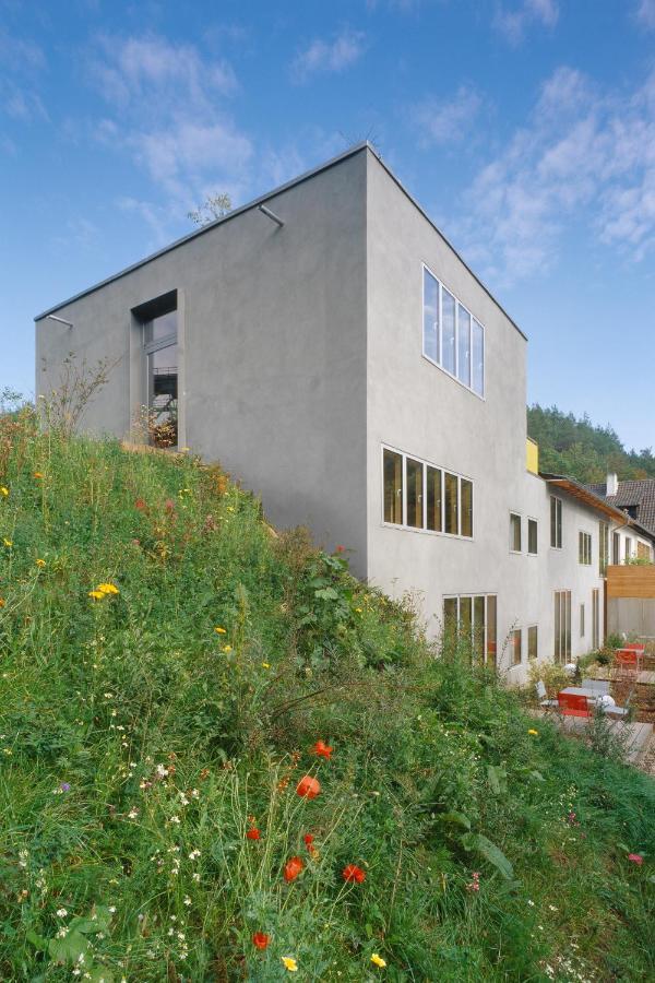 Seehaus Forelle Haeckenhaus Ramsen Bagian luar foto